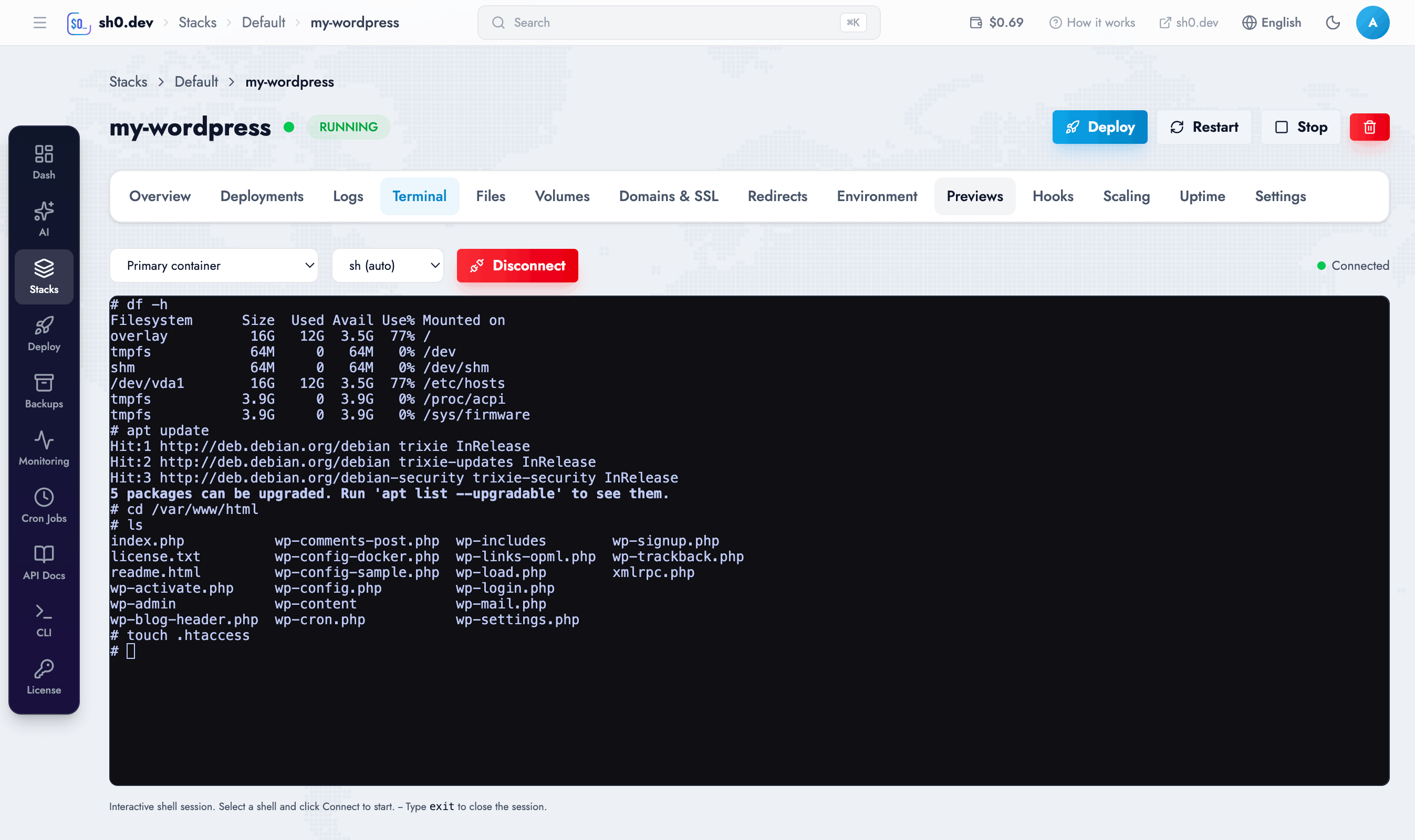 Web Terminal